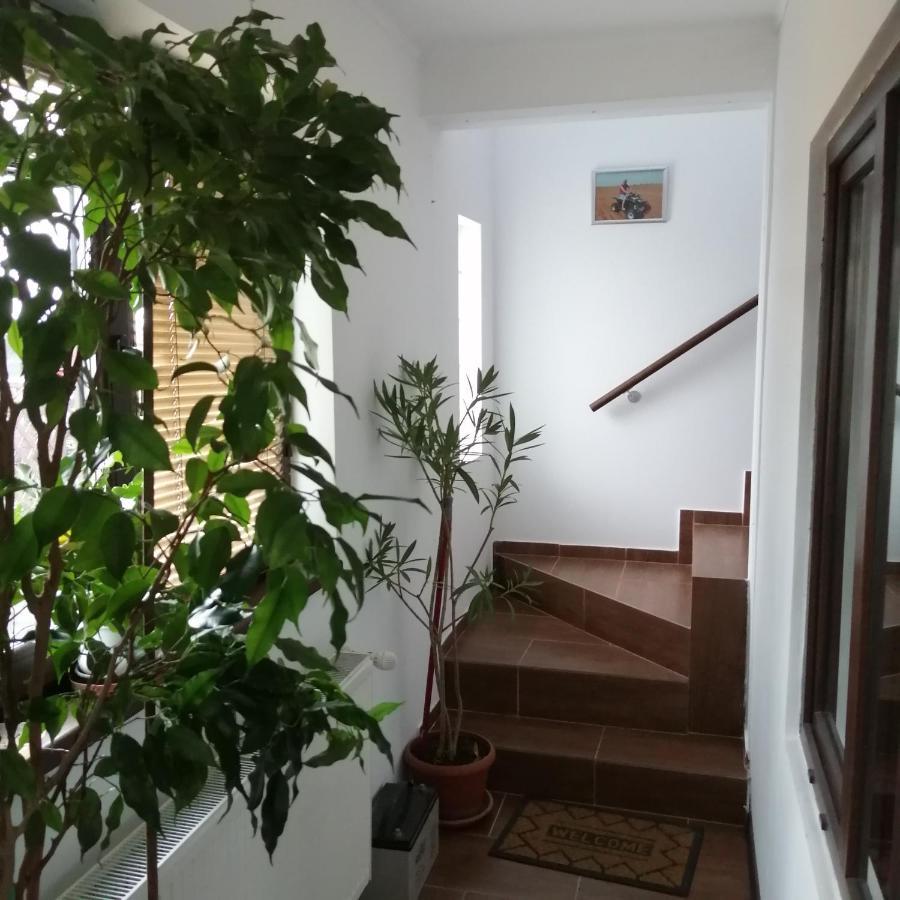 Villa 38 Silviu Apartment Bucureşti Eksteriør bilde